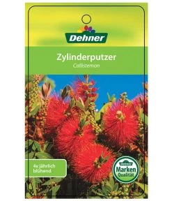 Zylinderputzer, Busch 12 Zylinderputzer, Busch -Pflanzenwelt Verkauf 8620429 CallistemonEtikett1