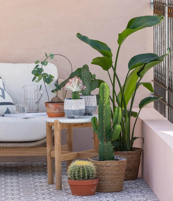 Dehner Seegras-Korb Igmar, Konisch 7 Dehner Seegras-Korb Igmar, Konisch – Bild 5