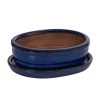 Dehner Keramik-Bonsaischale, Oval, Ca. B15/H4,5/T12 Cm 2 Dehner Keramik-Bonsaischale, Oval, Ca. B15/H4,5/T12 Cm -Pflanzenwelt Verkauf 8731085 WE FS 001 SchalensortimentBonsai BlauOvalGr 2