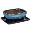 Dehner Keramik-Bonsaischale, Rechteckig, Blau/beige 1 Dehner Keramik-Bonsaischale, Rechteckig, Blau/beige -Pflanzenwelt Verkauf 8732133 WE FS 001 SchalensortimentBonsai BlauBeigeGr 3