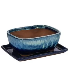 Dehner Keramik-Bonsaischale, Rechteckig, Blau/beige