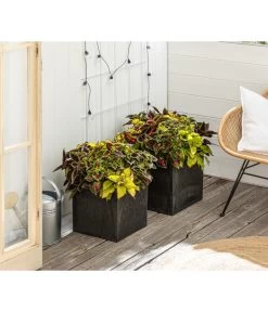 Beet- & Balkonpflanzen-Set Farbexplosion, 6-teilig -Pflanzenwelt Verkauf 8800567 PR MO 001 Beet Balkon SetBuntnessel