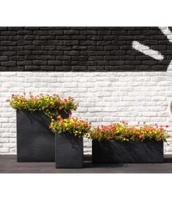 Portulakröschen -Pflanzenwelt Verkauf 8817199 8827271 WE MO 001 PortulacaT11Portulakroeschen