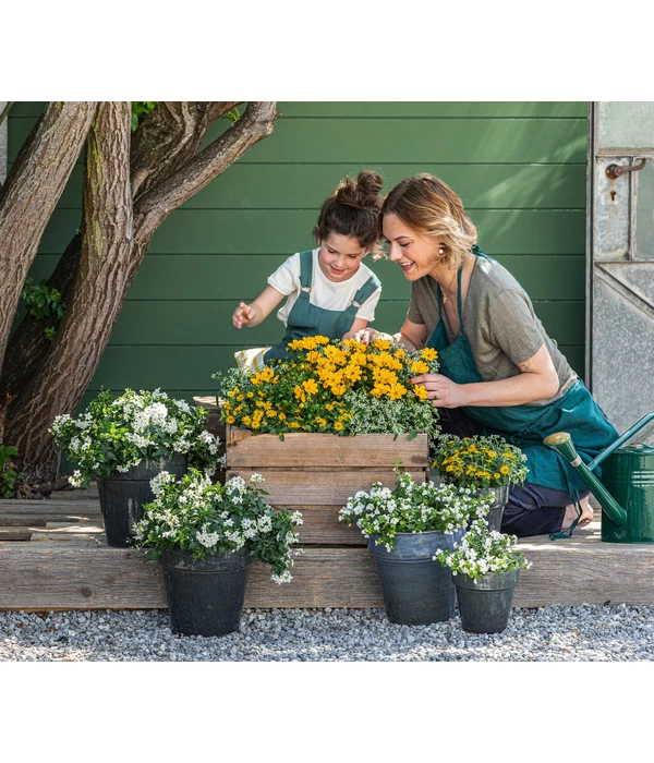 Zauberschnee 'Diamond Frost' 7 Zauberschnee 'Diamond Frost' – Bild 5