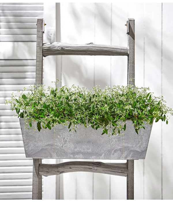 Zauberschnee 'Diamond Frost' 4 Zauberschnee 'Diamond Frost' – Bild 2