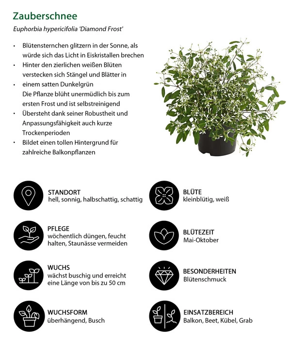 Zauberschnee 'Diamond Frost' 8 Zauberschnee 'Diamond Frost' – Bild 6