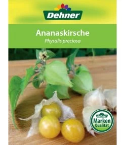 Dehner Ananaskirsche Physalis 14 Dehner Ananaskirsche Physalis -Pflanzenwelt Verkauf 8830069 Ananaskirsche Etikett 1