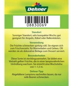 Dehner Ananaskirsche Physalis 15 Dehner Ananaskirsche Physalis -Pflanzenwelt Verkauf 8830069 Ananaskirsche Etikett 2