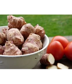 Topinambur 10 Topinambur -Pflanzenwelt Verkauf 8830184 PR MO 001 TopinamburPixabay