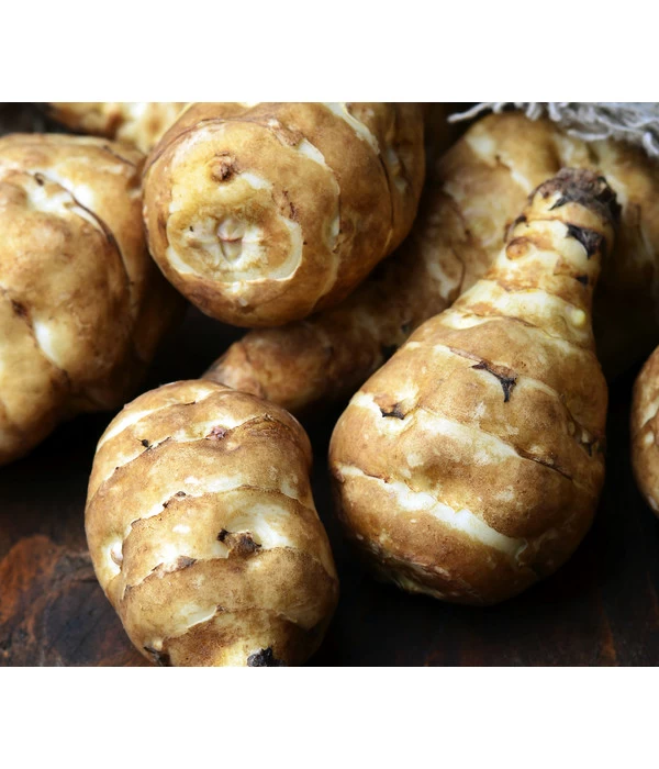 Topinambur 3 Topinambur