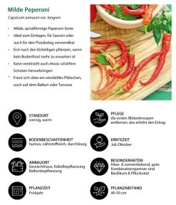 Milde Peperoni 11 Milde Peperoni -Pflanzenwelt Verkauf 8831695 WE IG 001 MildePeperoni