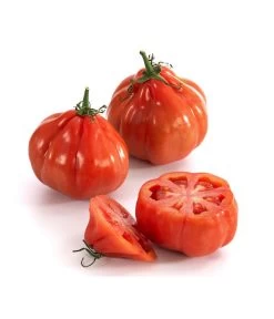 Ochsenherztomate 'Fleurette' 9 Ochsenherztomate 'Fleurette' -Pflanzenwelt Verkauf 8832883 WE DE 001 Ochsenherztomate