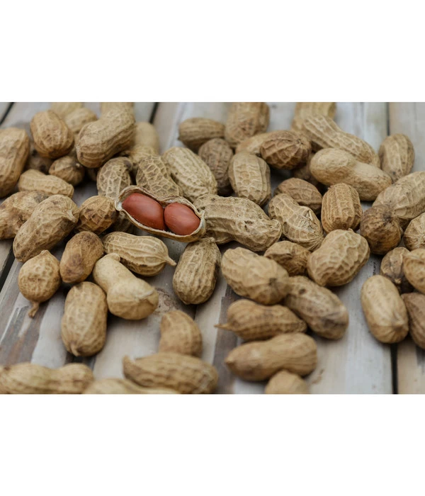 Bioland Erdnuss 3 Bioland Erdnuss