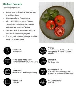Bioland Tomate, Rundfruchtig 9 Bioland Tomate, Rundfruchtig -Pflanzenwelt Verkauf 8842619 WE IG 001 BiolandTomate