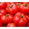 Bioland Fleischtomate 1 Bioland Fleischtomate -Pflanzenwelt Verkauf 8842627 WE DE 001 BiolandFleischtomate