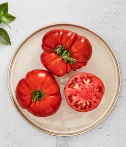 Bioland Fleischtomate 9 Bioland Fleischtomate -Pflanzenwelt Verkauf 8842627 WE MO 001 BiolandFleischtomate