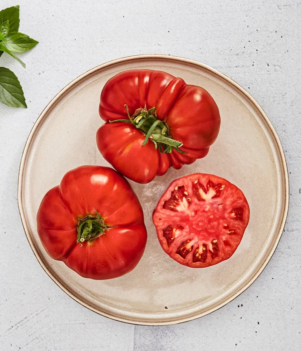 Bioland Fleischtomate 5 Bioland Fleischtomate – Bild 3