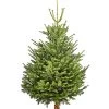 Bio Nordmann-Tanne, Ca. 150-200 Cm, Gesägt 2 Bio Nordmann-Tanne, Ca. 150-200 Cm, Gesägt -Pflanzenwelt Verkauf 8996191 WE FS 001 BioNordmannTanne150200