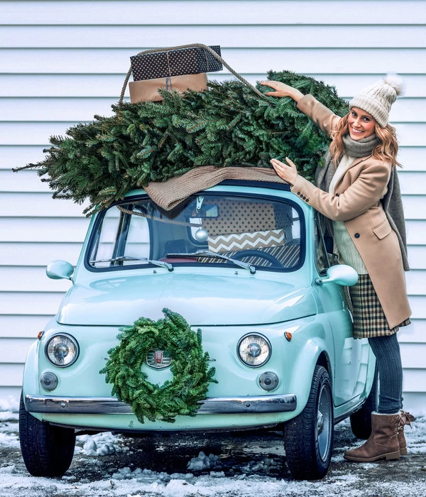 Nordmann-Tanne, Ca. 100-150 Cm, Gesägt 4 Nordmann-Tanne, Ca. 100-150 Cm, Gesägt – Bild 2