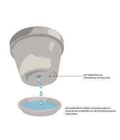 Climaqua Schiefer-Kasten Jardi, Rechteckig 9 Climaqua Schiefer-Kasten Jardi, Rechteckig -Pflanzenwelt Verkauf WE IG 001 TopfMitBodenloch 3