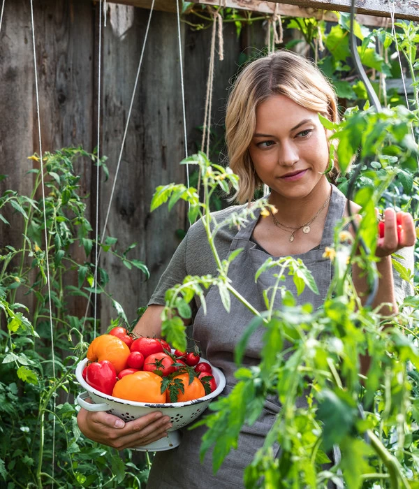 Ochsenherztomate 'Fleurette' 7 Ochsenherztomate 'Fleurette' – Bild 5