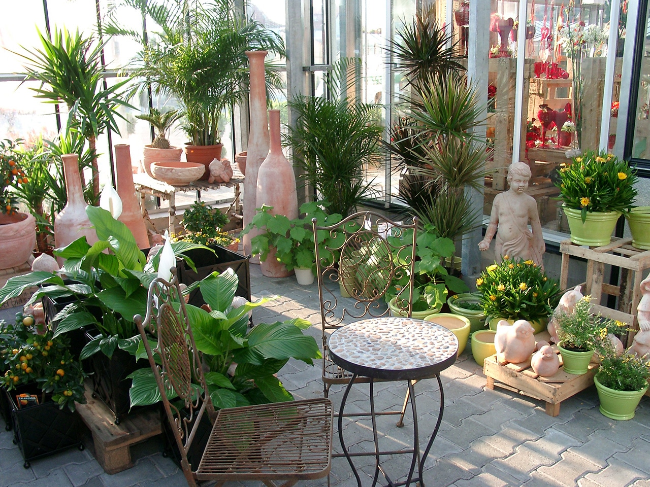 Pflanzenwelt Verkauf -Pflanzenwelt Verkauf blumen pfeifer service gartenpflanzen baumschule 3