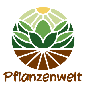 Pflanzenwelt Verkauf